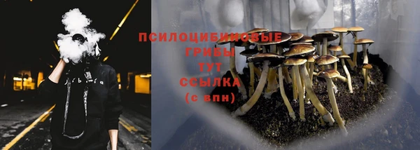 мяу мяу мука Няндома