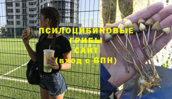 герыч Нязепетровск