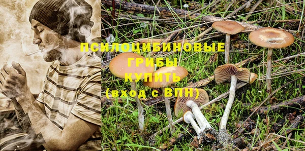 не бодяженный Нягань