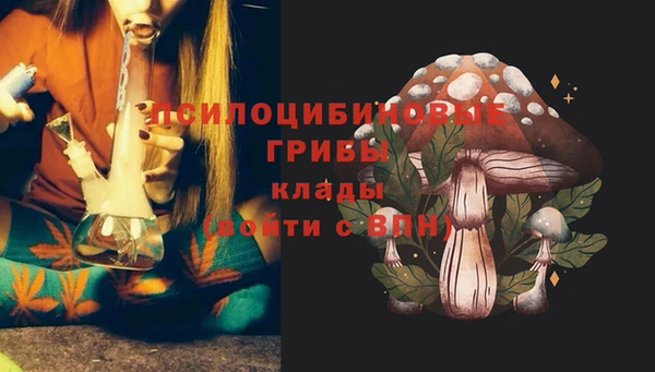 мяу мяу мука Няндома