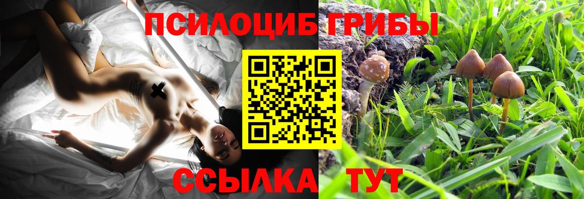 Псилоцибиновые грибы Magic Shrooms Скопин
