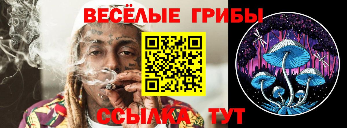 Скопин  купить наркотик  Вход с VPN  Галлюциногенные грибы Cubensis 